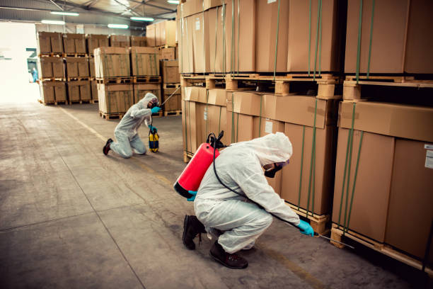 Best Best Pest Control Companies  in Maroa, IL