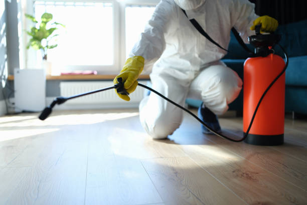Best Bed Bug Extermination  in Maroa, IL