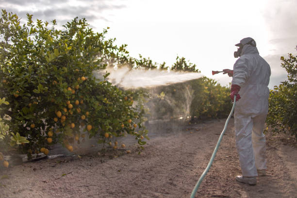 Best Affordable Pest Control Services  in Maroa, IL