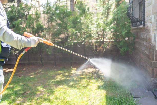 Best Insect Control  in Maroa, IL