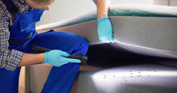 Best Pest Inspection Near Me  in Maroa, IL