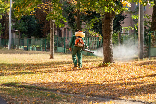 Best Wasp Removal Services  in Maroa, IL