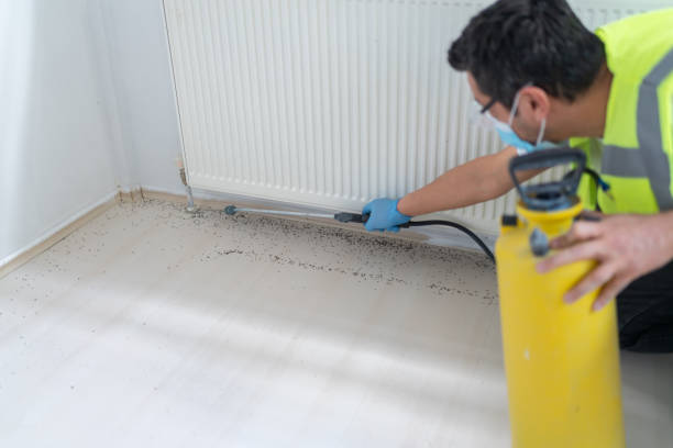 Best Insect Control  in Maroa, IL